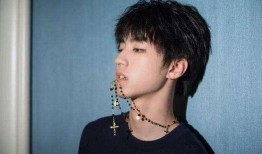 王俊凯黑粉爆料视频,真相与谣言的交织