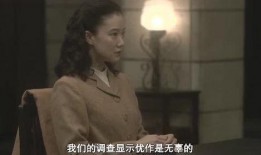 间谍妻子在线观看,揭秘隐秘世界，情感与忠诚的较量